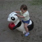 050409_IsahayaPark31-RCPanda