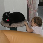 050410_CatHunting-RCMinuit