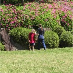 050424_ByeIversons1-TEric