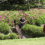 050424_ByeIversons2-TEricRetrieveBoomerang