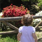 050424_ByeIversons3-RCWatchesFlowers