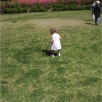 050424_ByeIversons4-RCBall