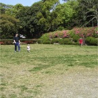 050424_ByeIversons7-RCTEricField