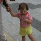 050430_GoldenWeek21-RCDandilion