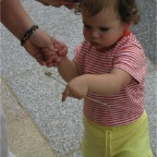 050430_GoldenWeek23-RCDandilion