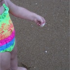 050430_GoldenWeek31-RCHoldingShell