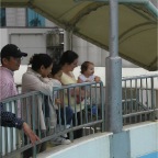 050501_GoldenWeek43-RCMelWatchDolphins