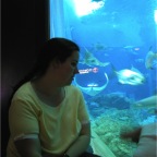 050501_GoldenWeek49-MelWatchesAquarium