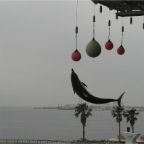 050501_GoldenWeek53-DolphinHittingBall