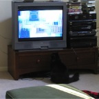 060920-MaxLikesVideoGames-KatamariDamashi