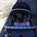 060930-PecanStreetFestival3-COStroller