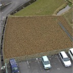 050305_SouthernRiceFieldZoom