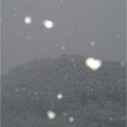 050306_EasternHillsSnow