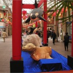 050212_NagasakiLanternFestival3