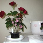 050217_ValentinesFlowers