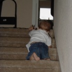 040919_RCClimbingStairs1