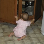 040818_RCWithDishes1