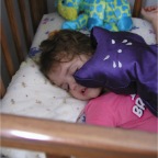 060815-RCNappingUnderToy2