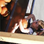 061021-PumpkinPainting2-RC