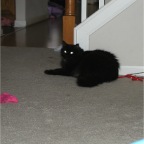 061029-RCBirthday15-MaxSupervising