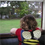 061105-Thomas13-RCLookingOutTheWindow