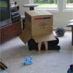 060626-RCT-PlayingInMovingBoxes1