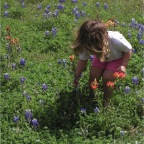 060401-BlueBonnets05