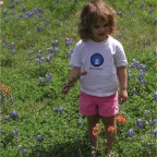 060401-BlueBonnets06