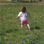 060401-BlueBonnets07