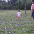 060401-BlueBonnets08