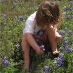 060401-BlueBonnets13