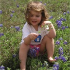 060401-BlueBonnets14