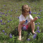 060401-BlueBonnets15