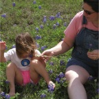 060401-BlueBonnets17