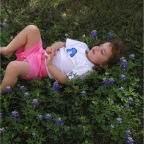 060401-BlueBonnets23