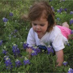 060401-BlueBonnets25