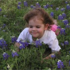 060401-BlueBonnets26