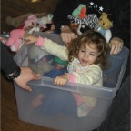 060219-StuffedAnimalPlay2-RCMK